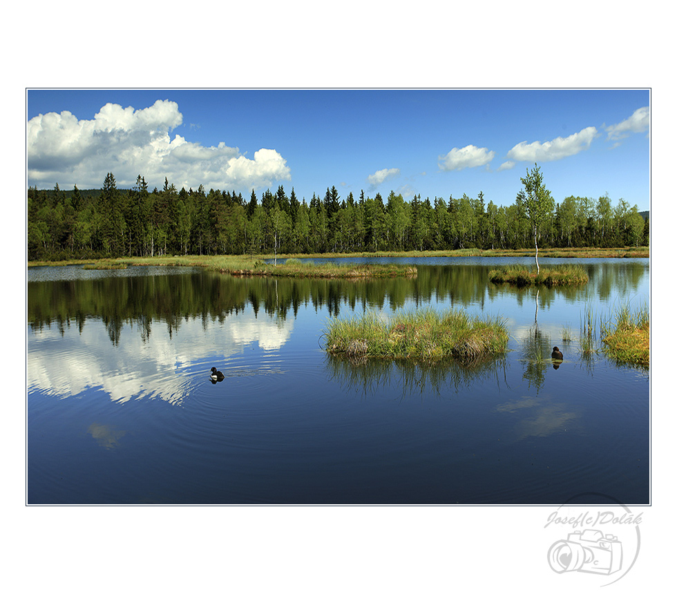 фото "Šumava - national park" метки: пейзаж, 