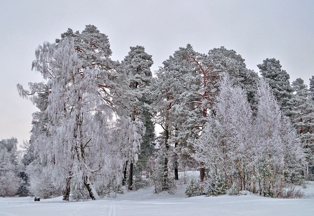 photo "***" tags: landscape, winter