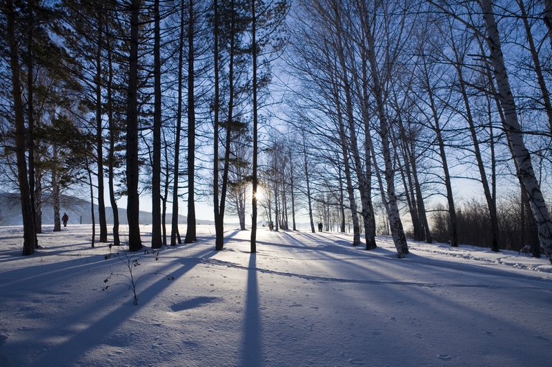 photo "***" tags: landscape, winter