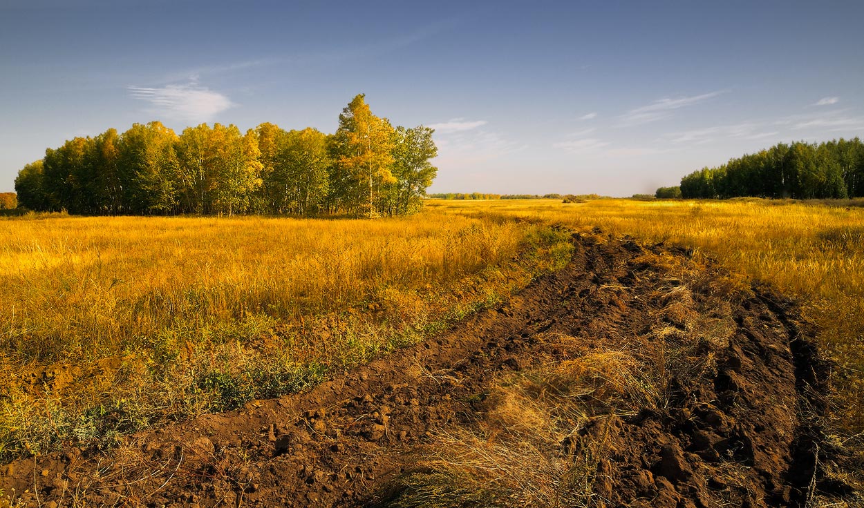 photo "***" tags: landscape, autumn