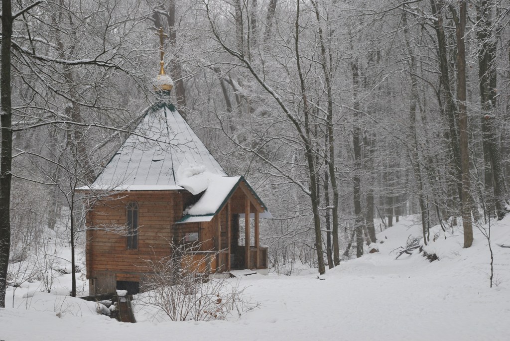 фото "МОНАСТЫРСКИЙ ЛЕС" метки: пейзаж, зима