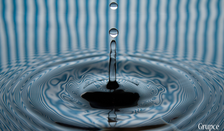 photo "Drop" tags: macro and close-up, 