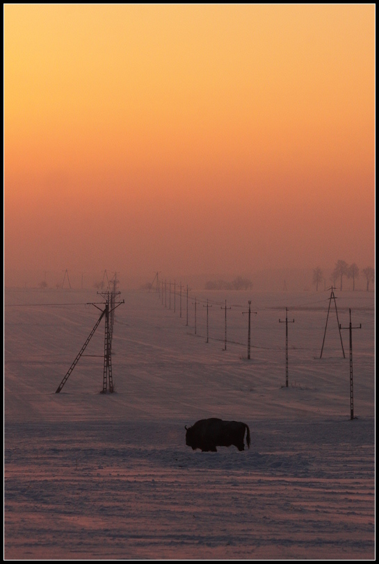 photo "telegraph road" tags: landscape, 