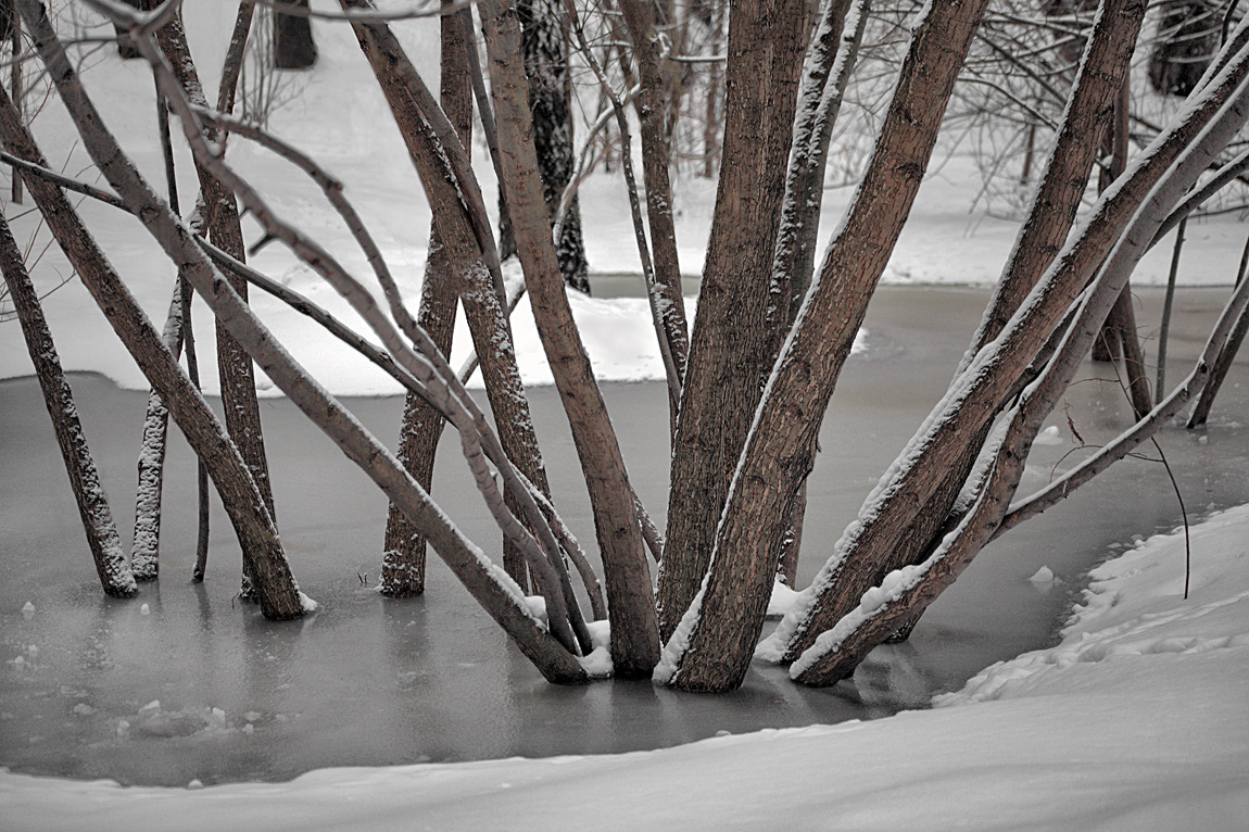 photo "Fan" tags: landscape, water, winter