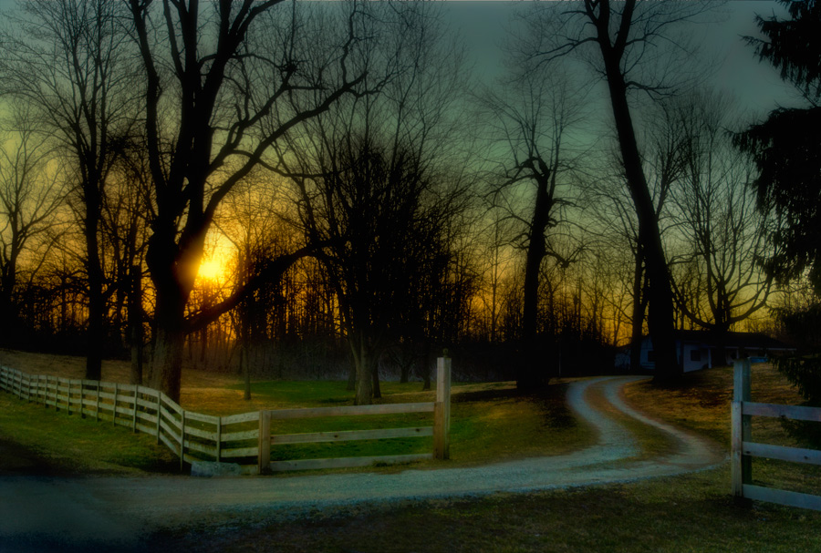 photo "Winding Lane" tags: landscape, 
