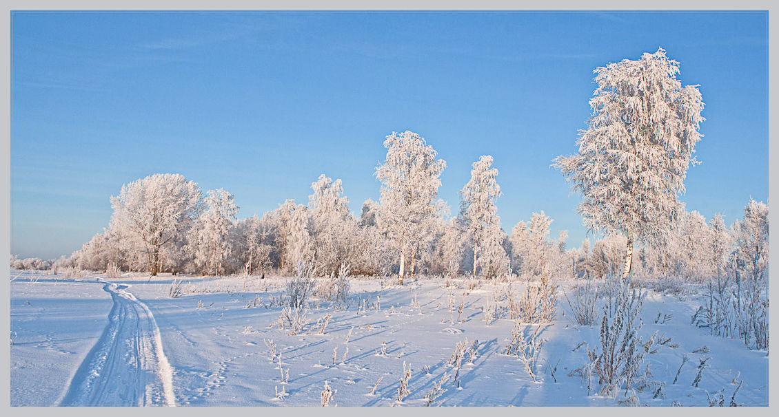photo "***" tags: landscape, forest, winter