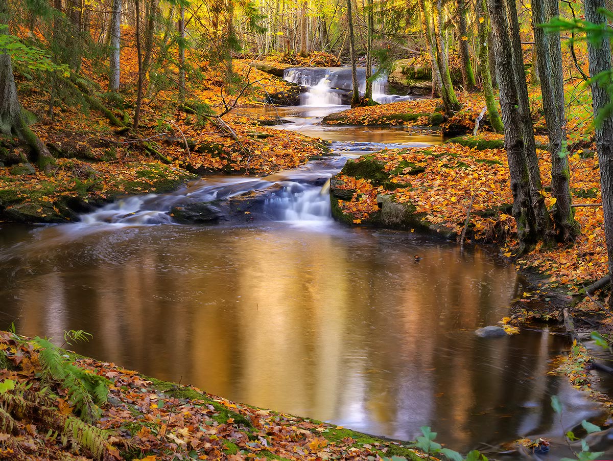 photo "Fall...." tags: landscape, autumn