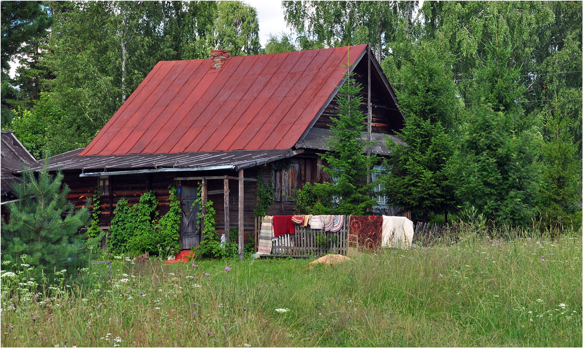 фото "Жизнь в лесу" метки: пейзаж, разное, лес