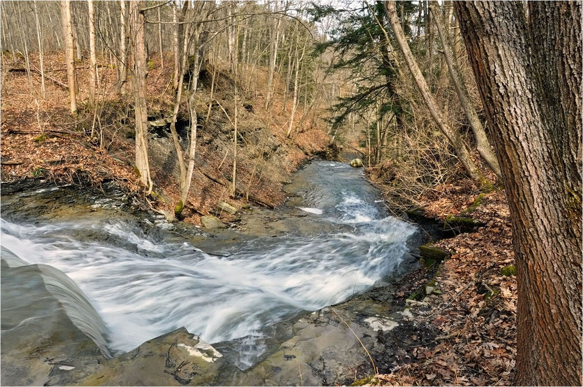 photo "***" tags: landscape, forest