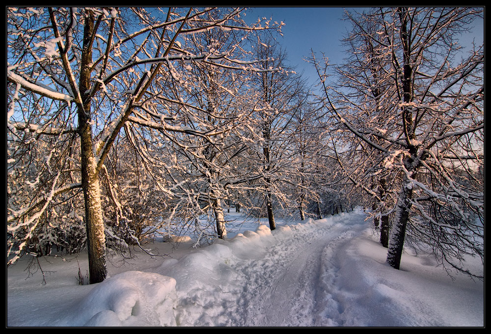 фото "***" метки: пейзаж, зима