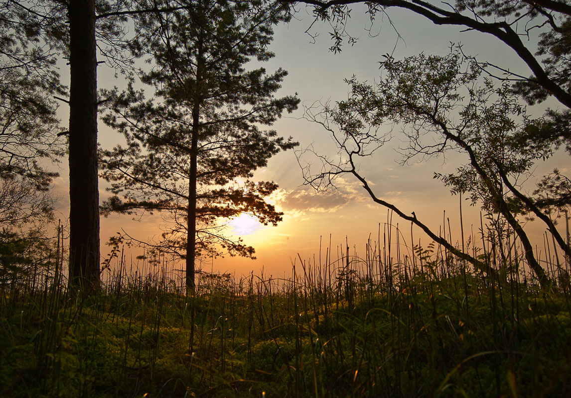 photo "***" tags: landscape, summer, sunset