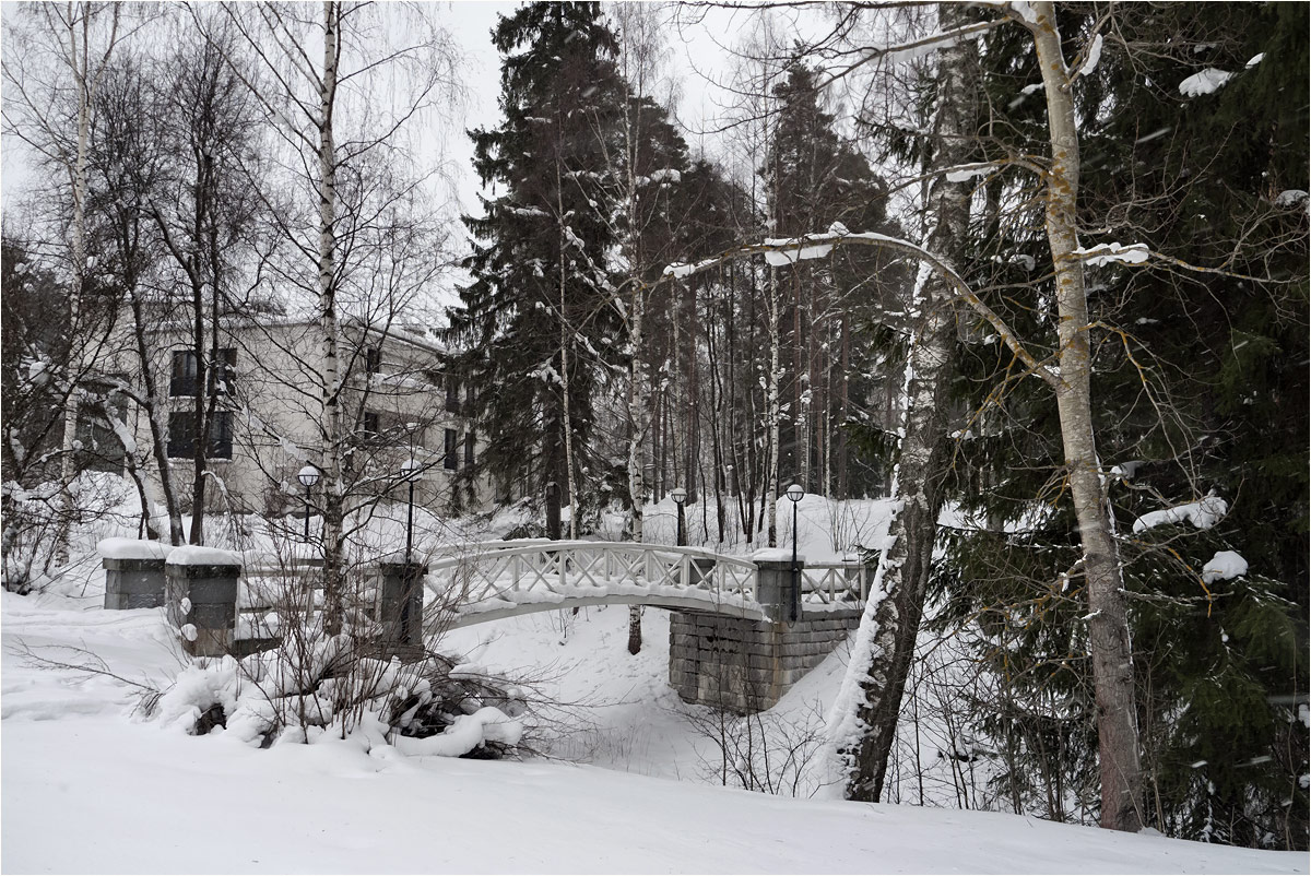 photo "Winter. Almost black and white..." tags: landscape, winter