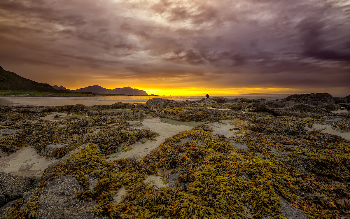 photo "Lonely ....." tags: landscape, sunset, water