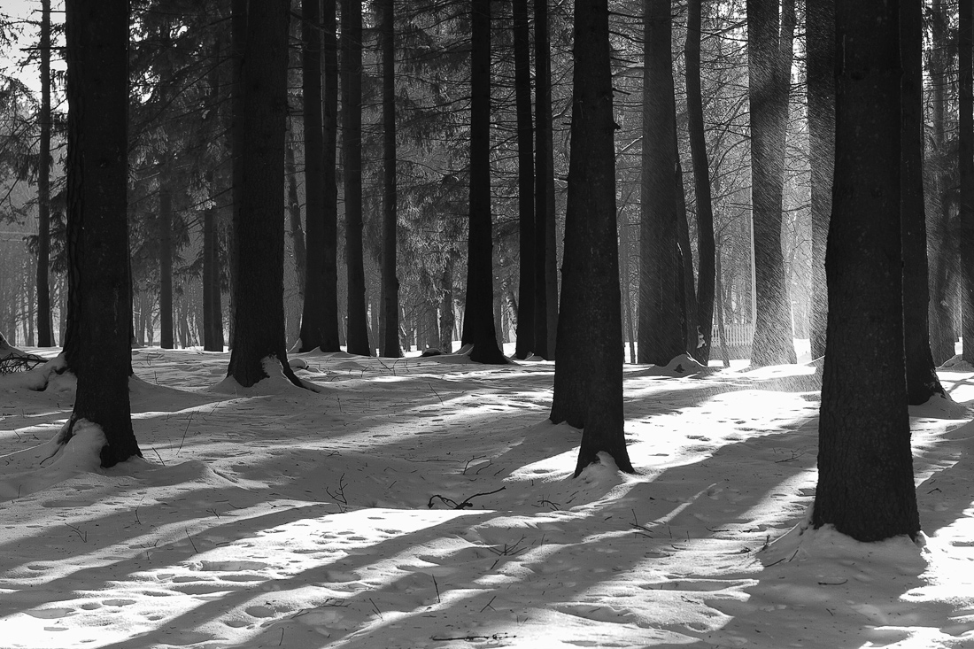 фото "." метки: пейзаж, черно-белые, 