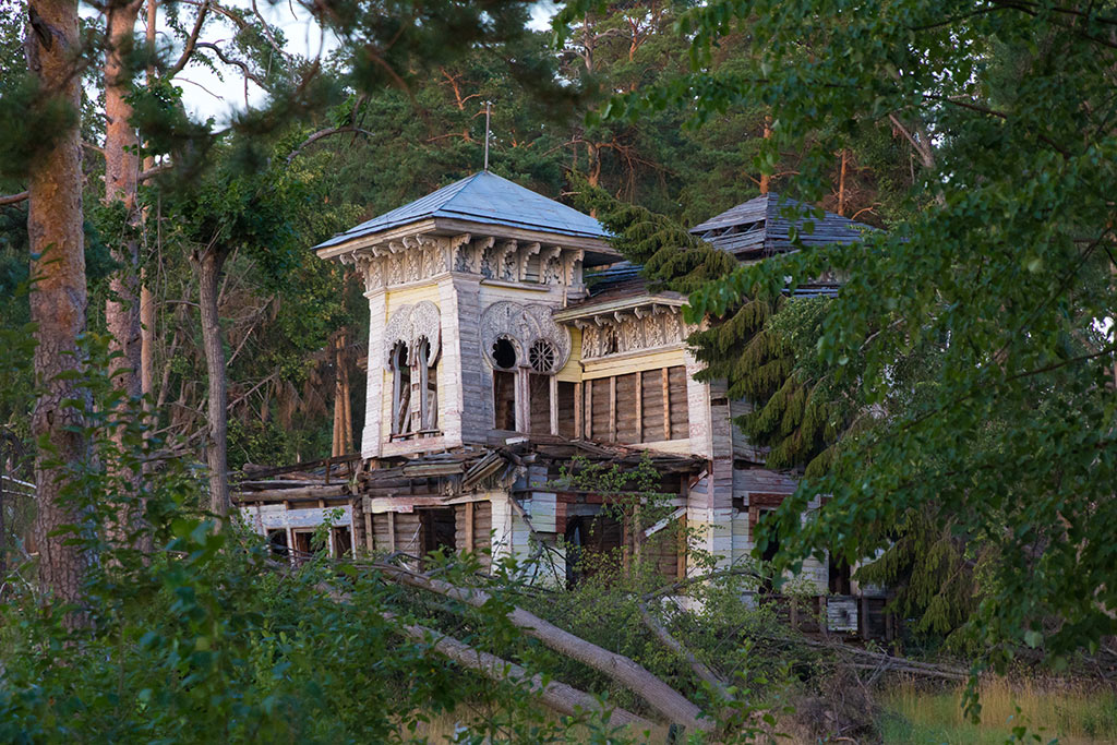 photo "Abandoned homestead" tags: architecture, landscape, forest