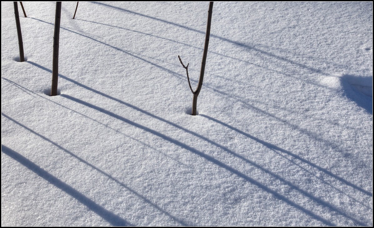 photo "March diagonals" tags: nature, fragment, 