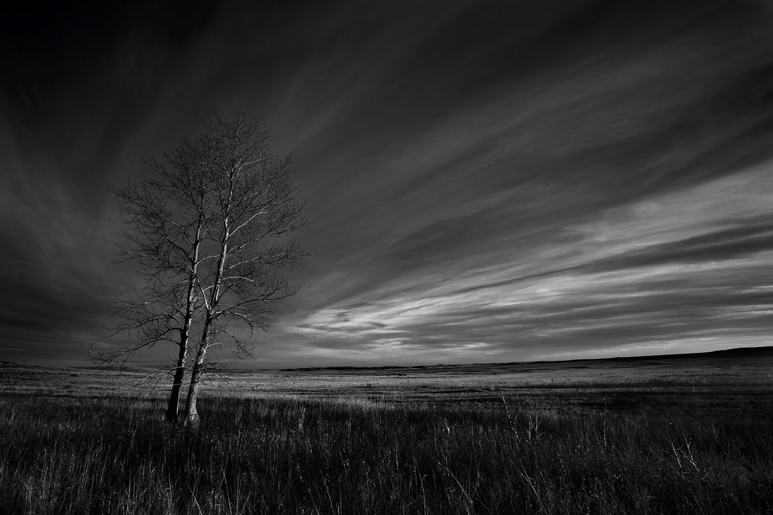 фото "Круговерть" метки: пейзаж, 