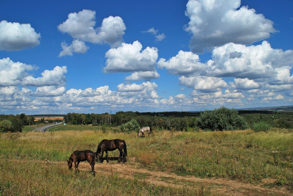 photo "***" tags: landscape, clouds