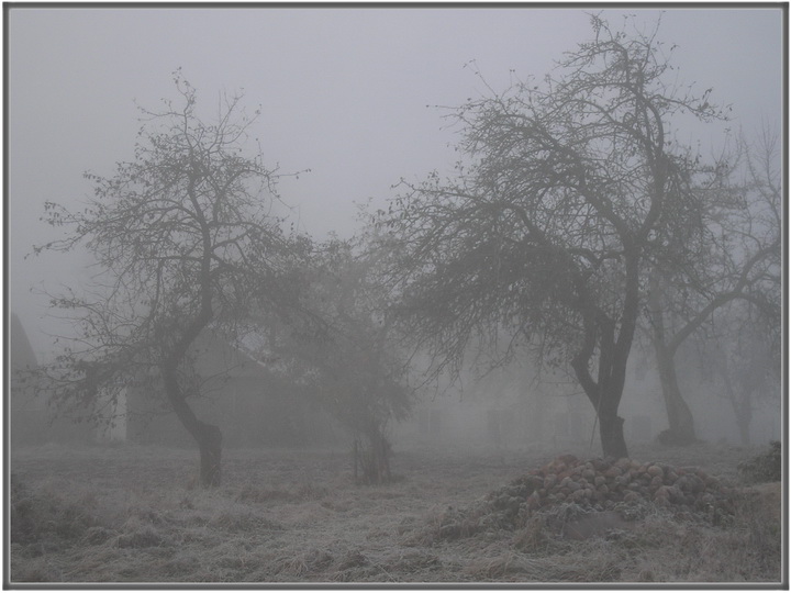 photo "***" tags: landscape, autumn