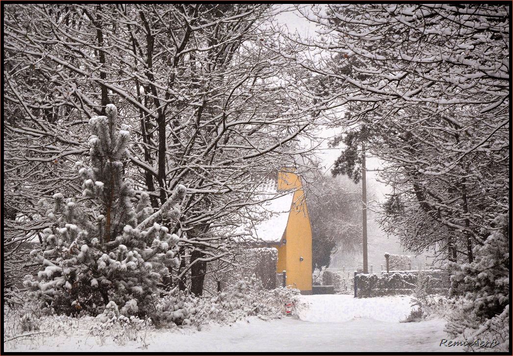 photo "yellow house" tags: landscape, forest, winter