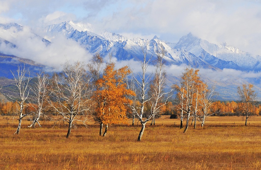 photo "***" tags: landscape, autumn