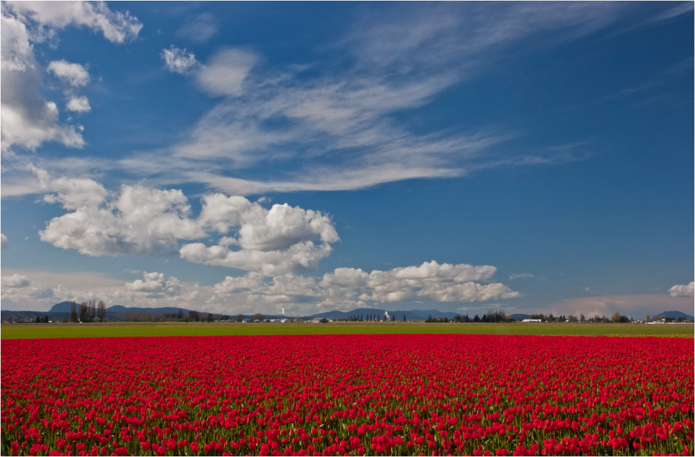 photo "Blue Sky" tags: landscape, spring