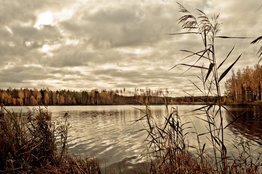 photo "***" tags: landscape, autumn