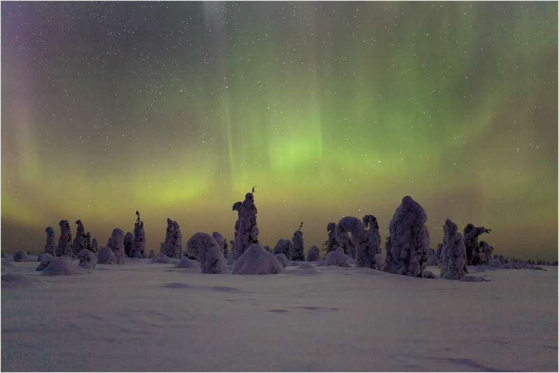 photo "***" tags: landscape, forest, night