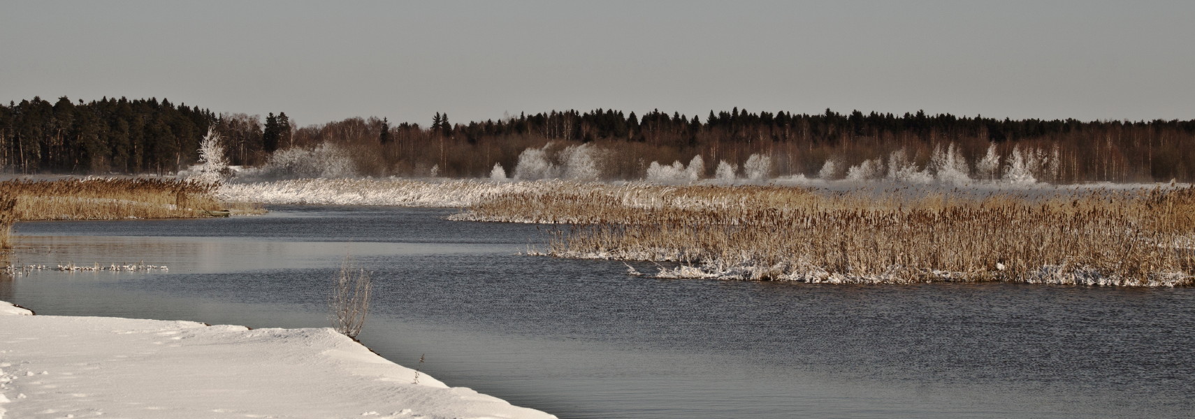 photo "***" tags: , 