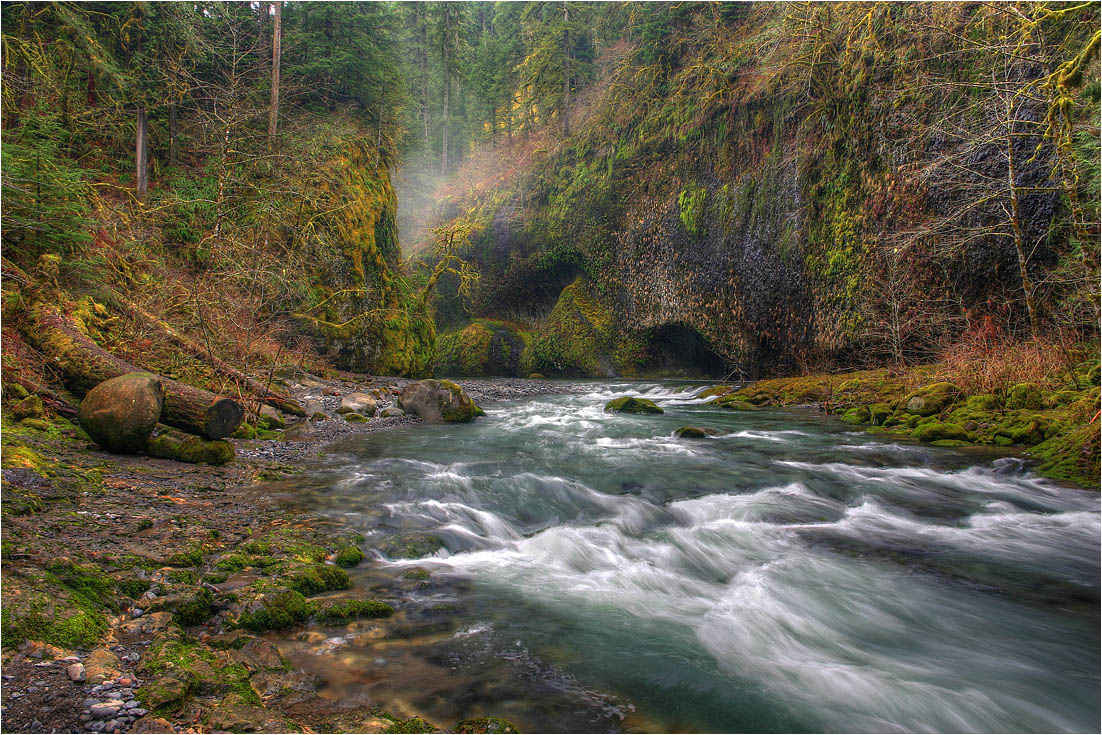 photo "***" tags: landscape, forest, water