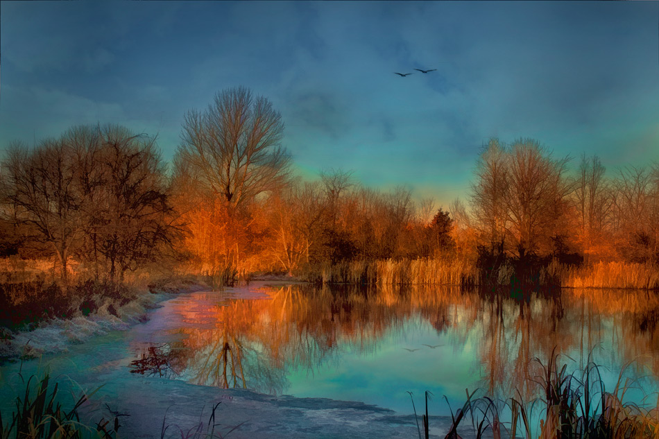 photo "The Pond" tags: digital art, 
