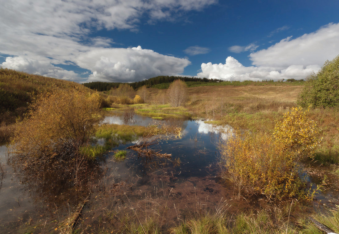photo "***" tags: landscape, autumn