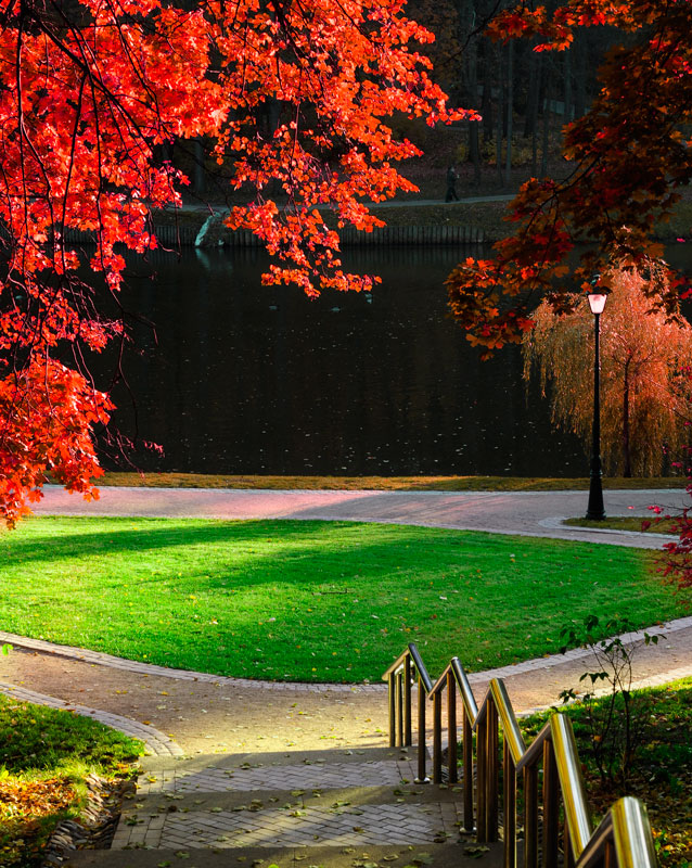 photo "***" tags: landscape, autumn, forest