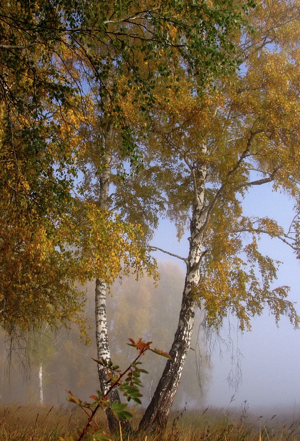 photo "***" tags: landscape, autumn