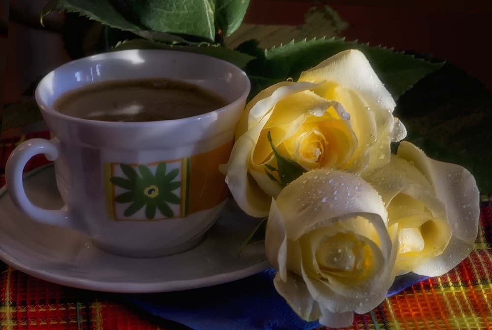 photo "***" tags: still life, macro and close-up, 