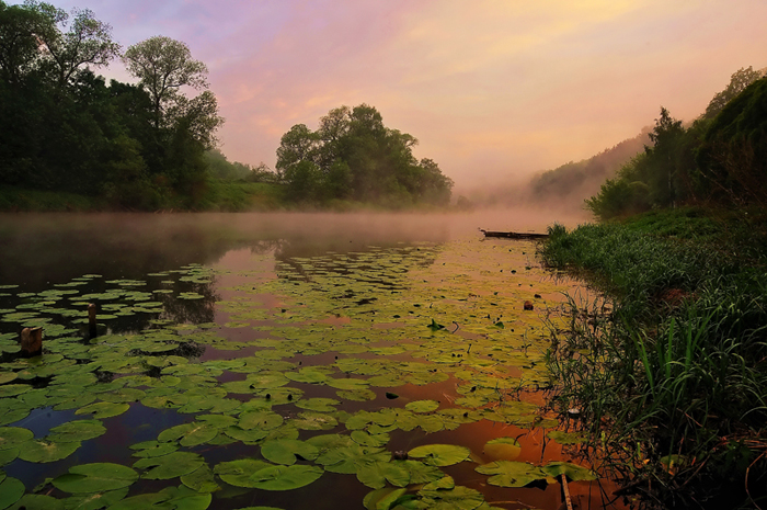 photo "***" tags: landscape, sunset