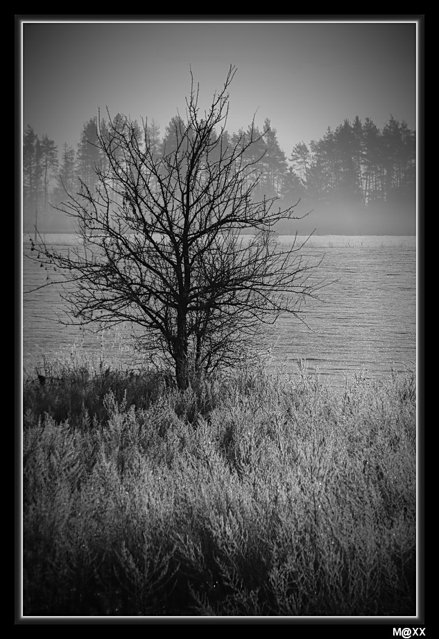 photo "***" tags: landscape, black&white, winter