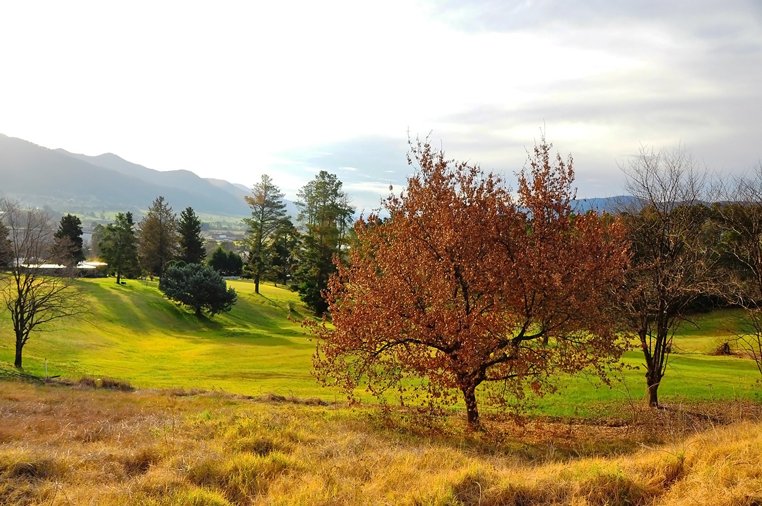 photo "***" tags: landscape, autumn, mountains