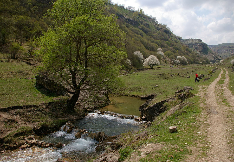 photo "***" tags: landscape, spring