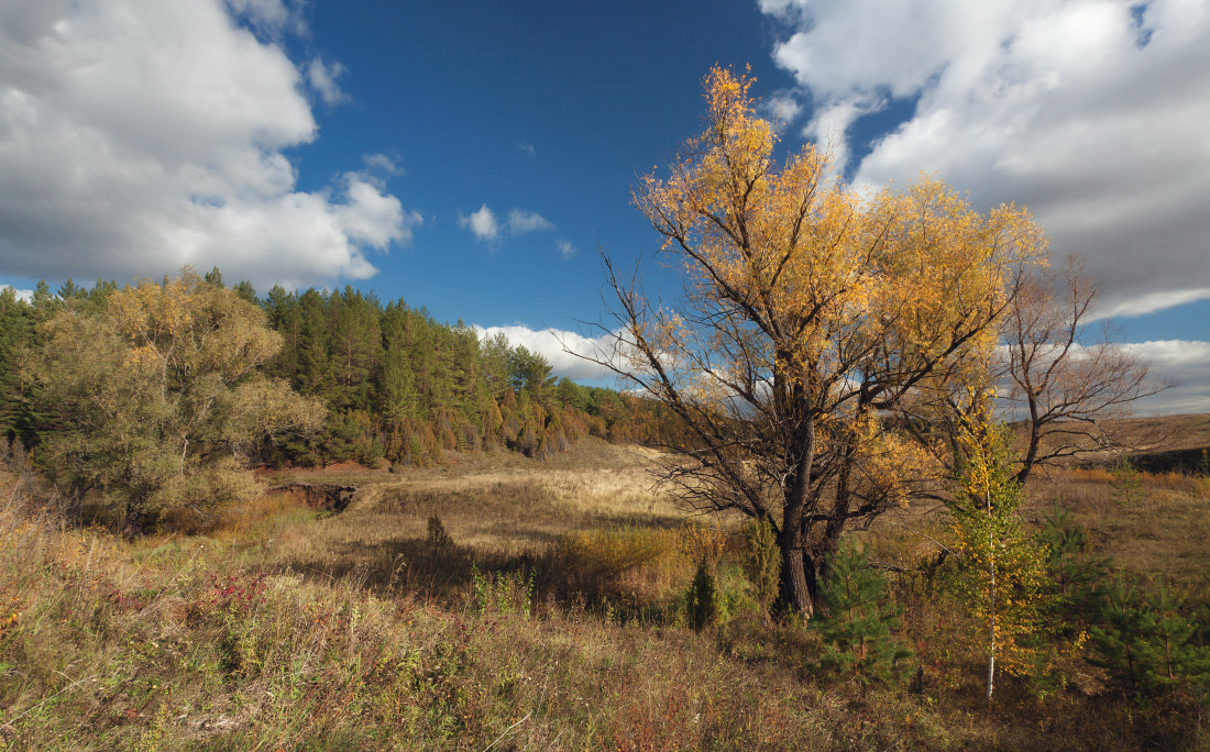 photo "***" tags: landscape, autumn