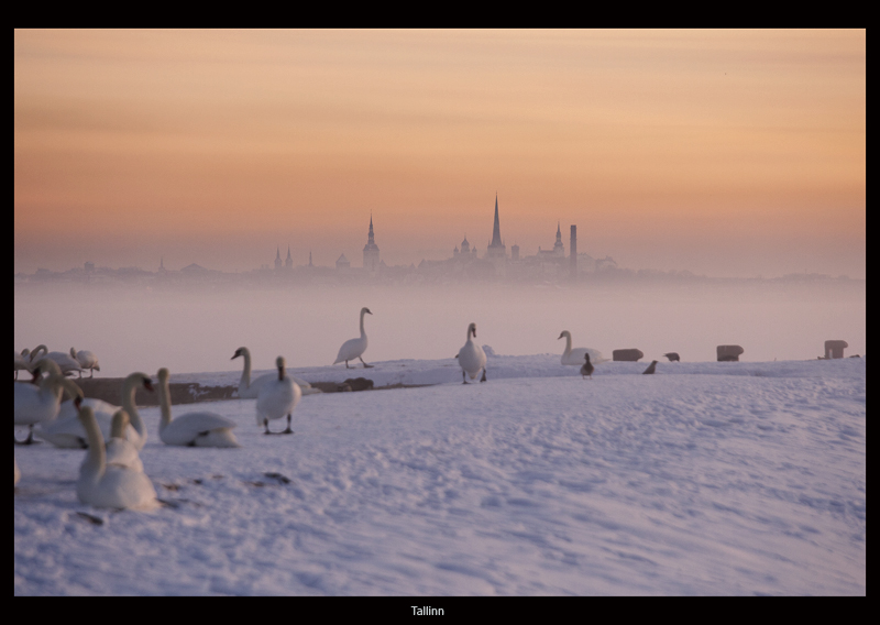 фото "Tallinn" метки: пейзаж, 