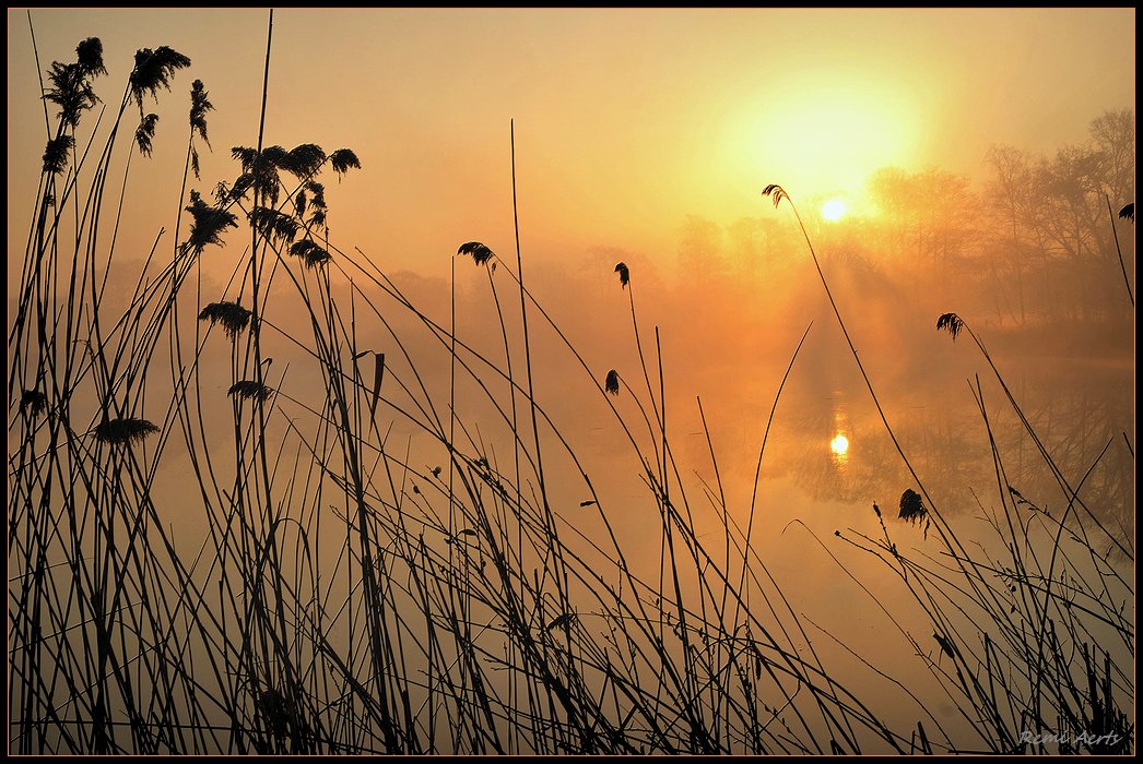 photo "***" tags: landscape, spring, sunset