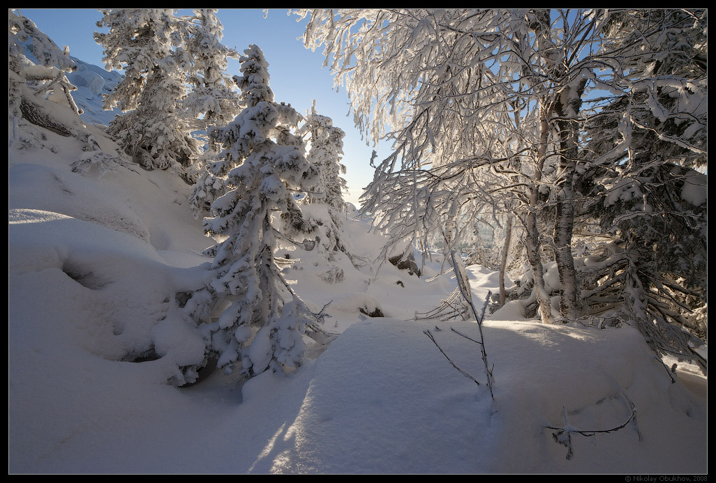 фото "Зимняя / 0184_0077" метки: пейзаж, зима, лес