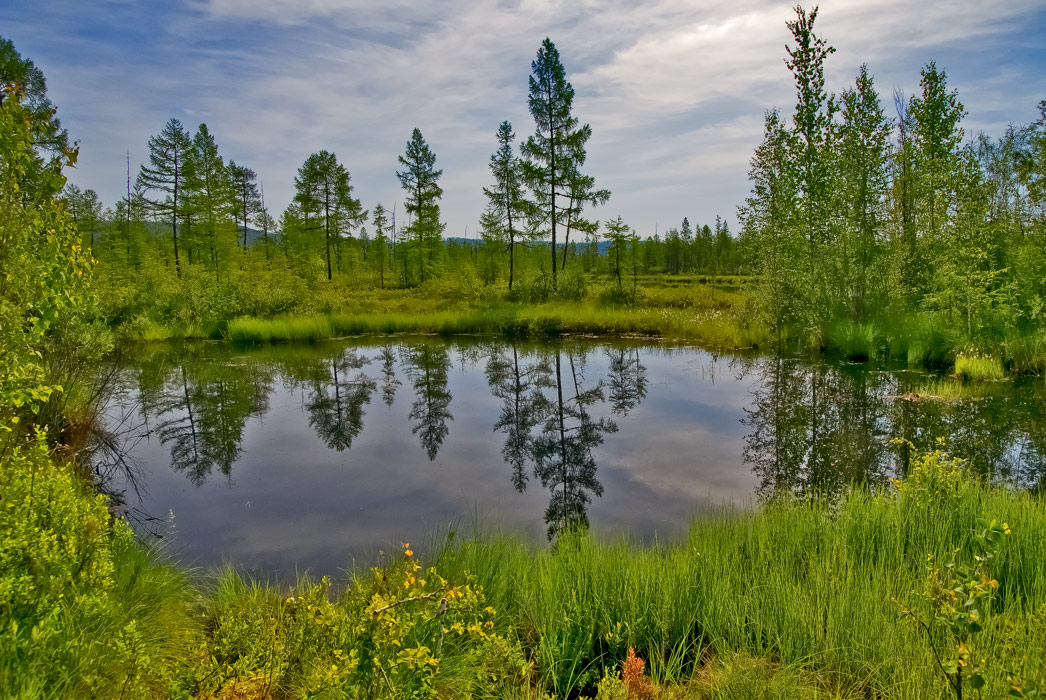 photo "***" tags: landscape, forest, water