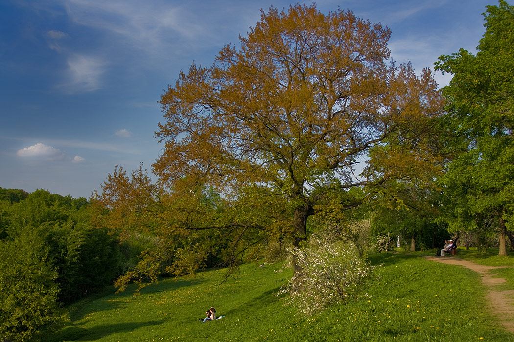 photo "Dreaming of spring" tags: landscape, clouds, spring