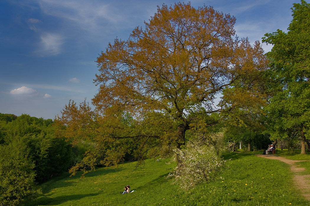 photo "Dreaming of spring" tags: landscape, clouds, spring