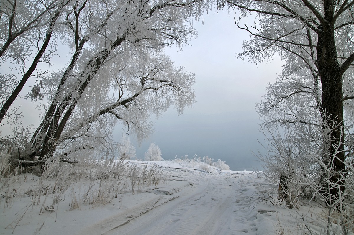 фото "Morning" метки: пейзаж, зима, лес