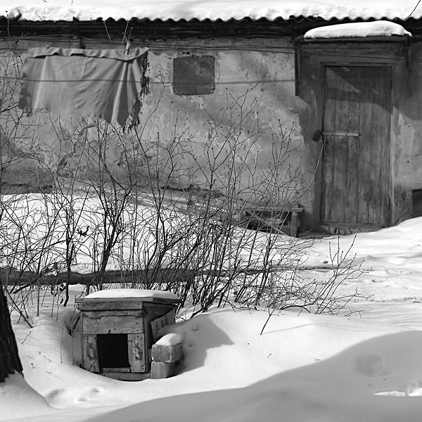 photo "***" tags: black&white, genre, 