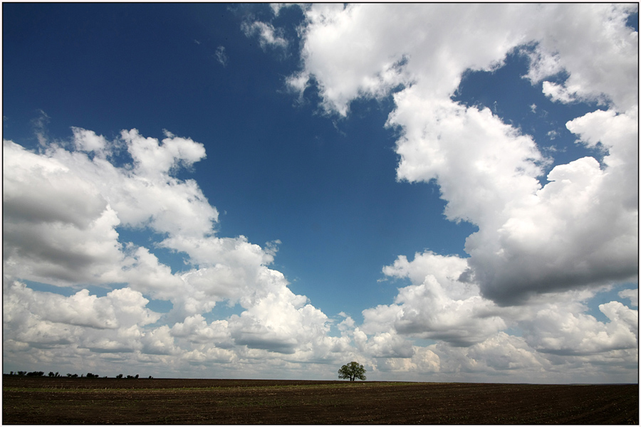 photo "Spring sky" tags: landscape, clouds, field, spring, tree