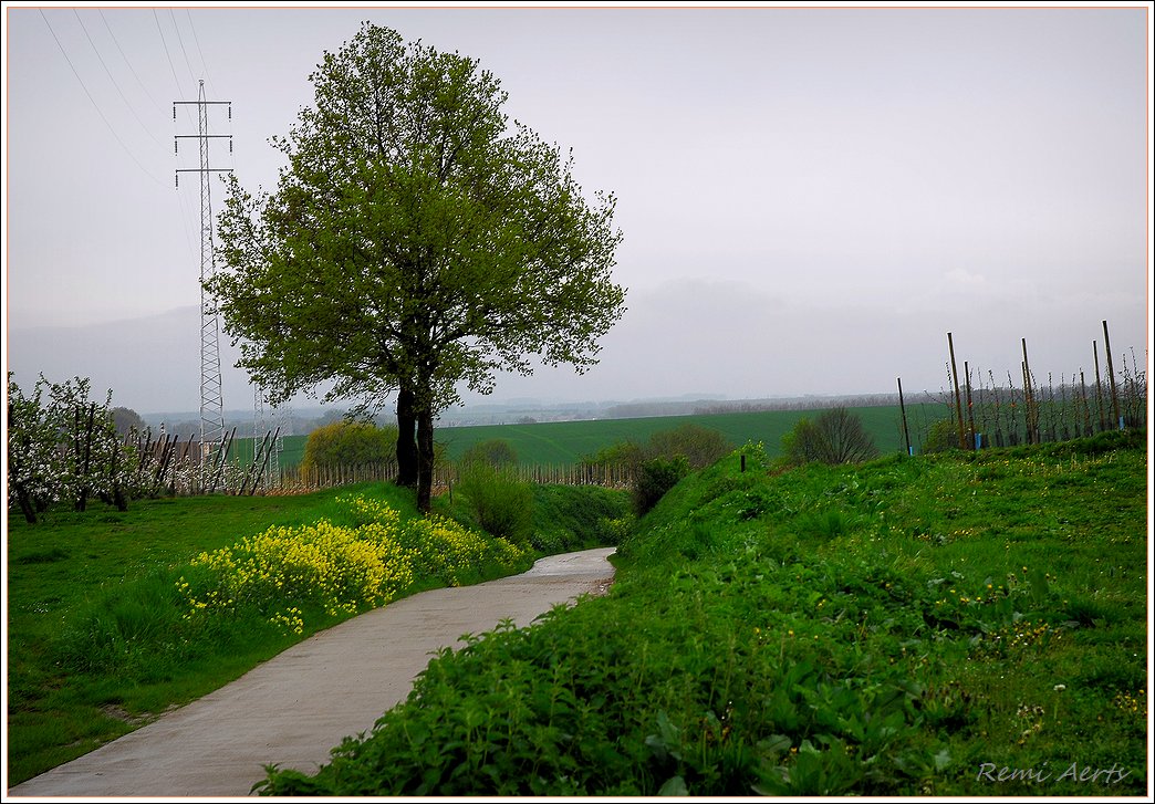 фото "***" метки: пейзаж, весна